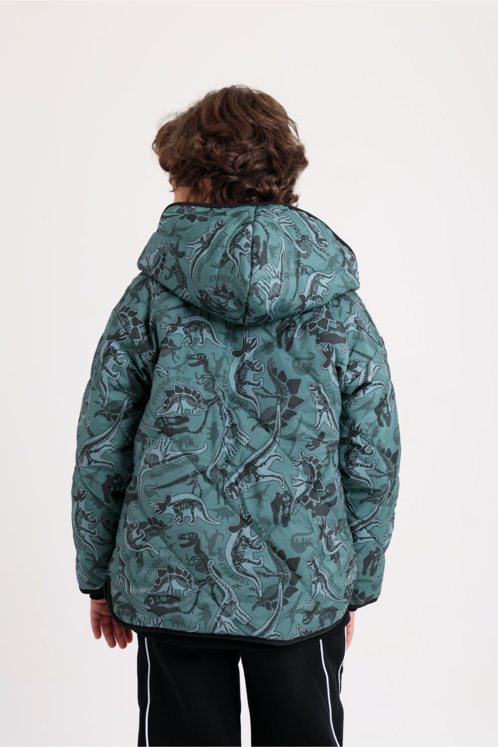 boys waterproof reversible quilted jacket - dark green with dino print