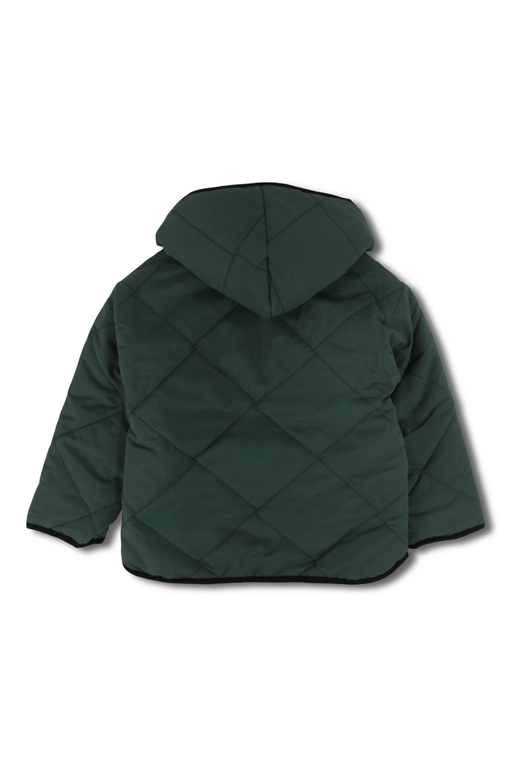 boys waterproof reversible quilted jacket - dark green with dino print